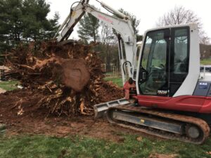 Southington, CT | Stump Removal Project | Excavation Contractor Near Me