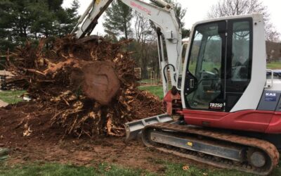 Southington, CT | Excavation & Land Clearing Contractor | Best Excavation Services Near Me