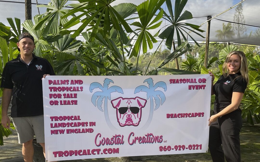 Palm Trees & Tropical Plants for Sale or Lease in Connecticut | Tropical Landscapes & Beachscapes in Connecticut