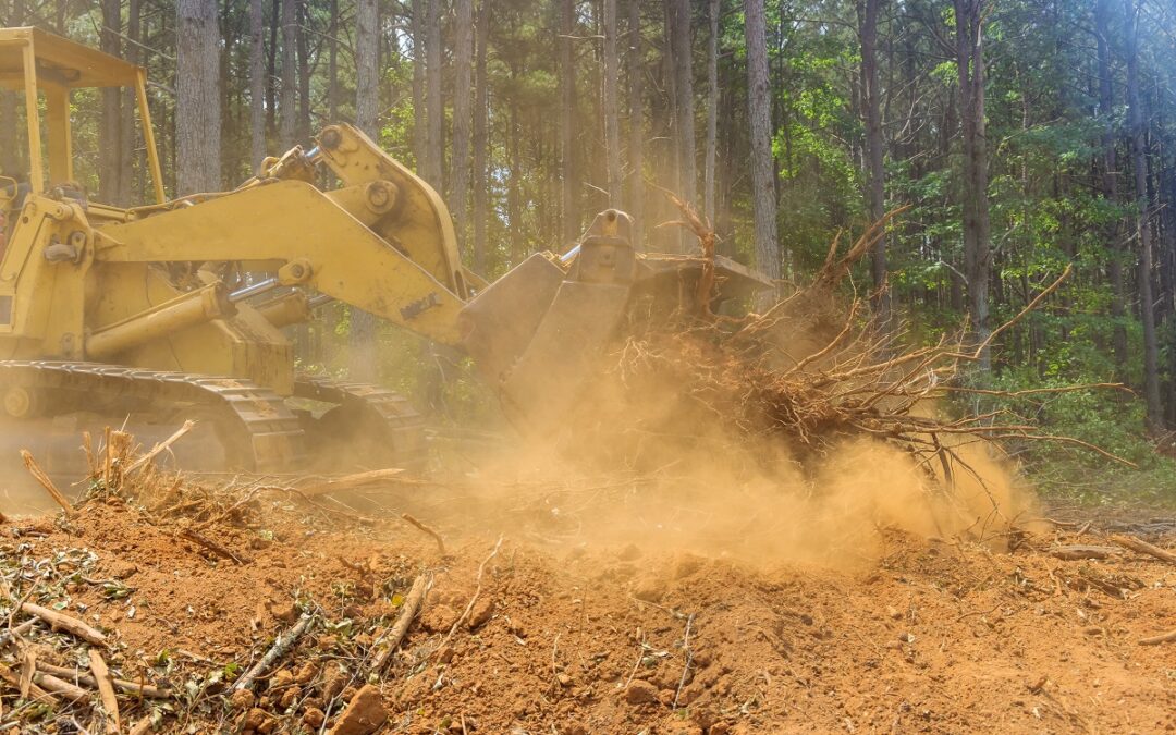 Land Clearing, Leveling & Site Work Services | Bloomfield, CT